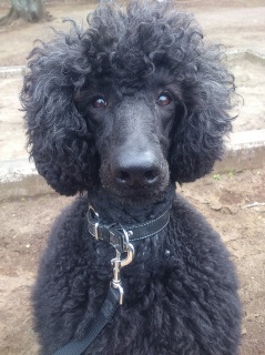 2��