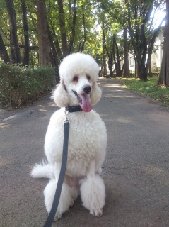 �A���X5��