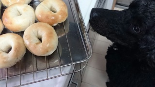 �P���̃`�F�b�N