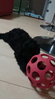 ��͂܂��Ă��`