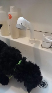 �Ȃɂ�����ł����I�H