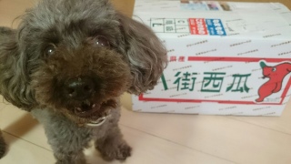 ���N��(*�L�ށM*)