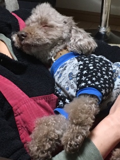 �Â���V����(*^^*)